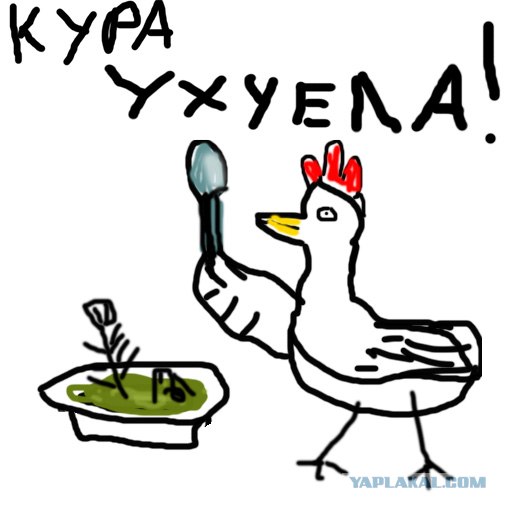 Кура