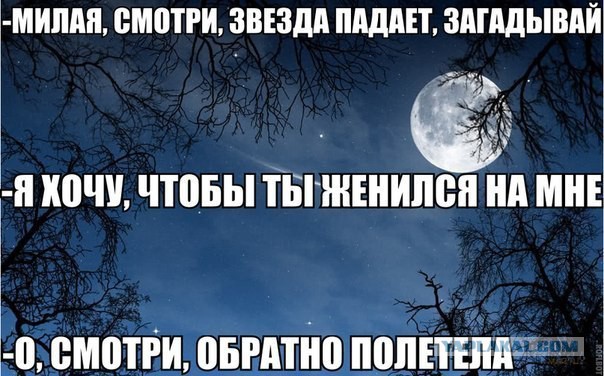Подборка весёлых картинок