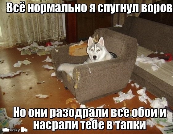 Немного картинок и юмора