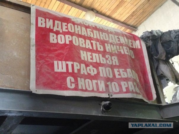 Весёлое из сети
