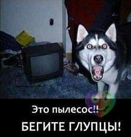 Как действует мобильный телефон на магнитную руду