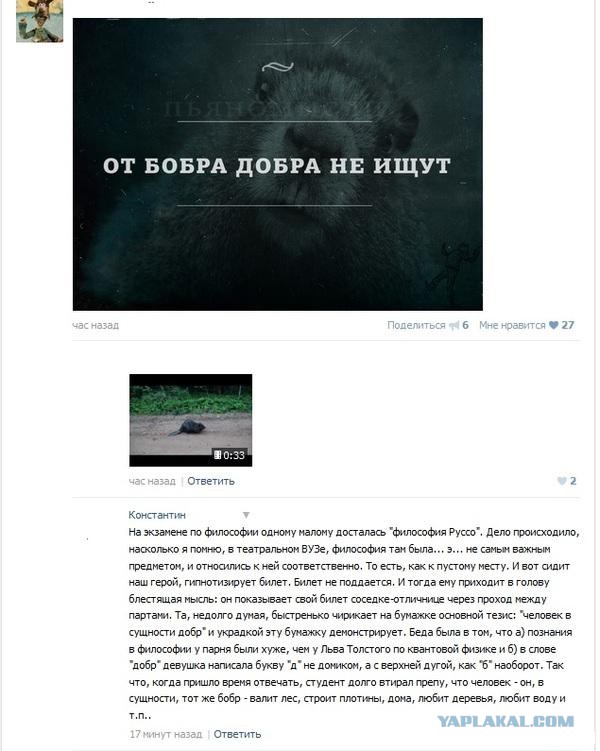 Смешные комментарии из социальных сетей