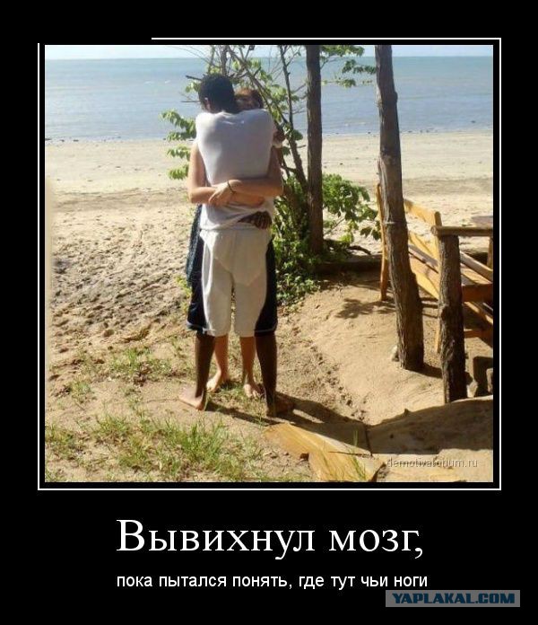 Забавные картинки из Сети