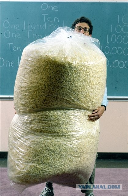 Сержант замучил до смерти сослуживца