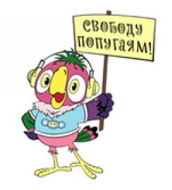 Клетка для попугаев своими руками