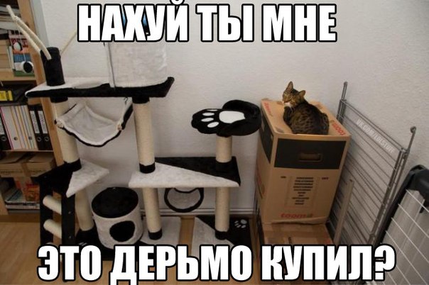 Домик для котейки