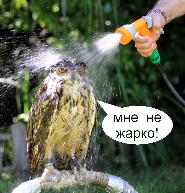 Марш в душ!