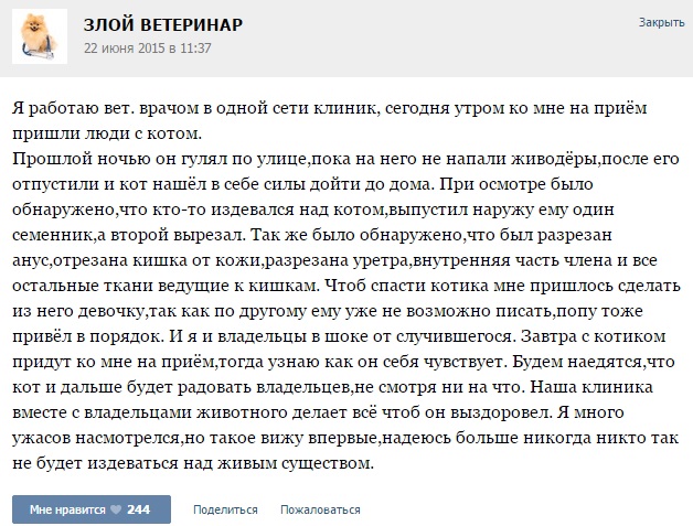 Истории от ветеринаров -8