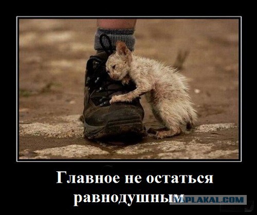 Помогите пожалуйста найти брата!