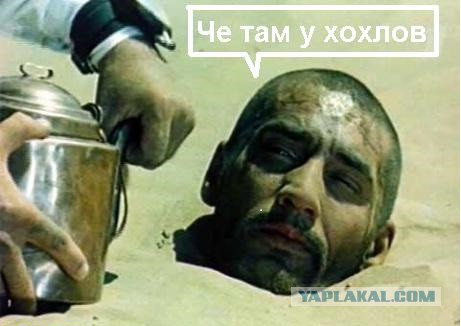 Похоже Китайцы получили землю.