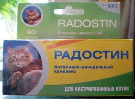 Музей РВСН в Николаевской области