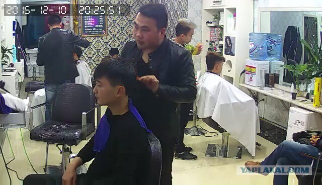 За что я люблю китайцев