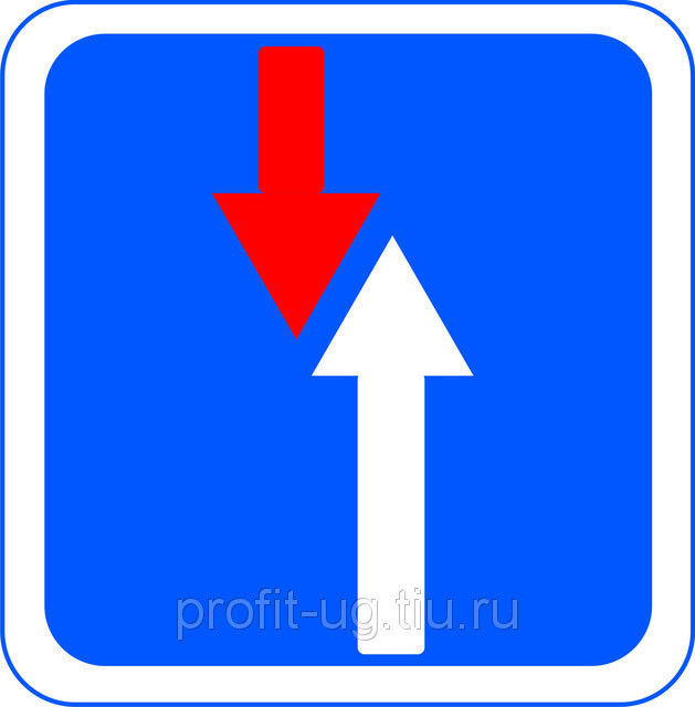Упоротая дура спровоцировала пробку