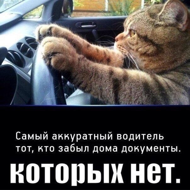 А давайте улыбнёмся В Новом Году