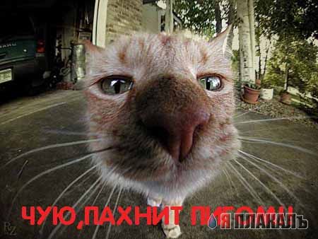 Уже да :) Ужо пятнецца...