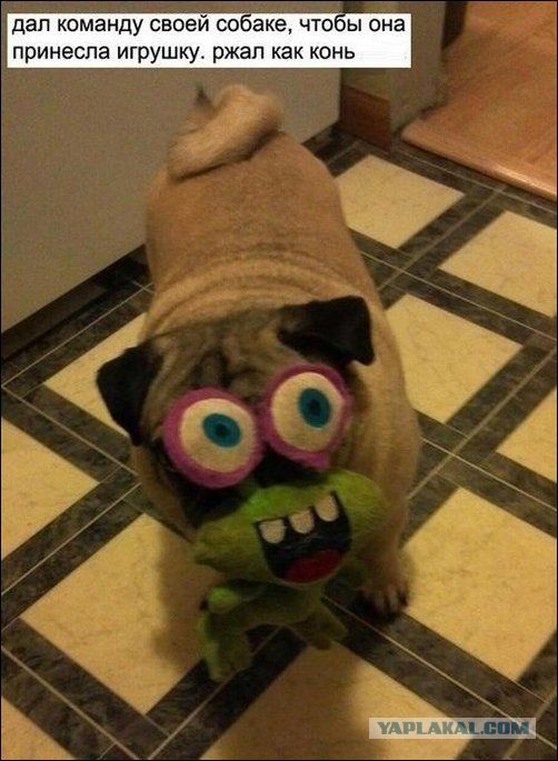 Абсурдный юмор ч.11