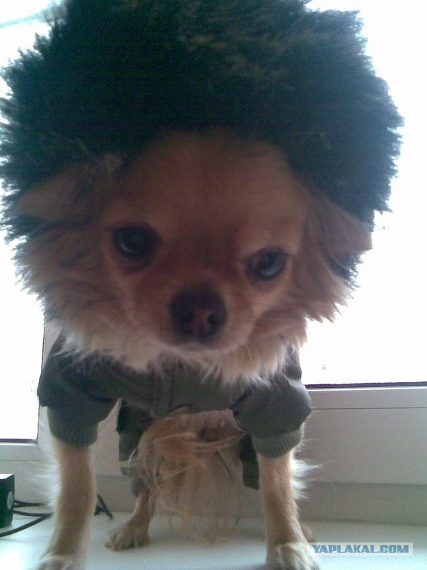 Воскресная подборка картинок