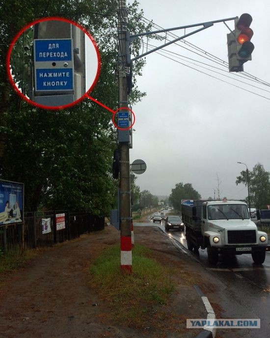 Картинки из сети