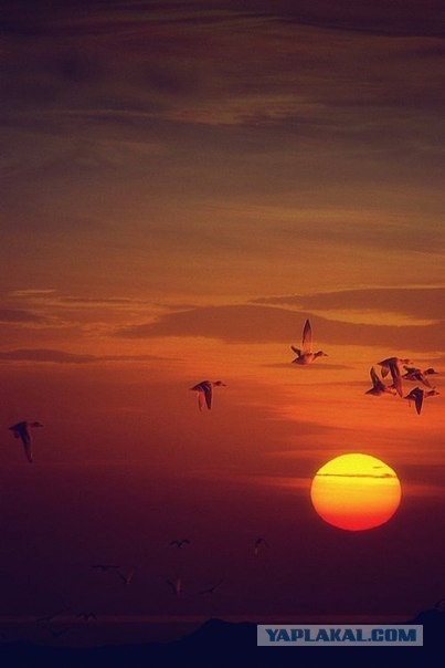 Подборка картинок 29.03.16