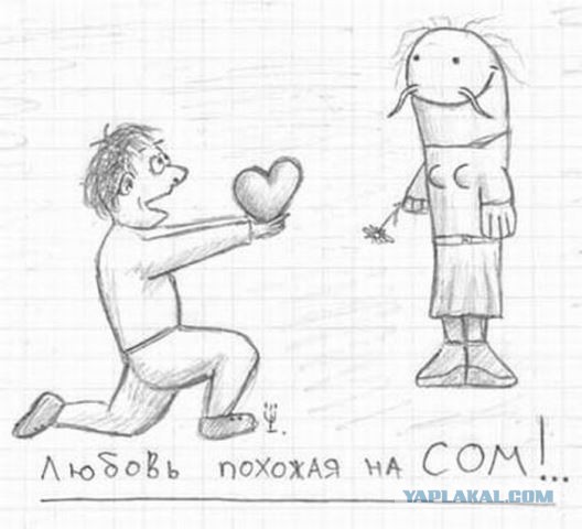 Абсурдная субботница