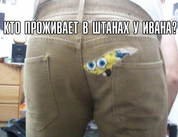 Ужасы и приколы из соцсетей