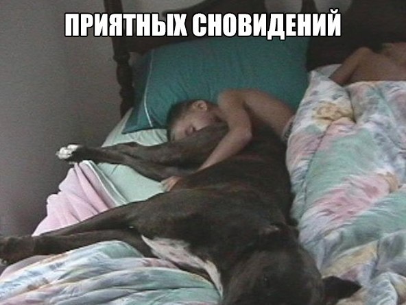 Подборка приколов