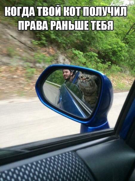 Порция картинок на пятницу