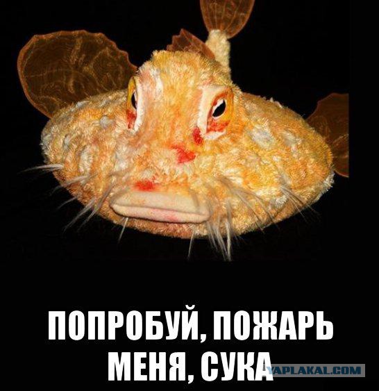 10 самых таинственных загадок мира в океане