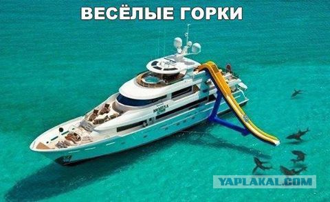 Смешные комментарии из социальных сетей 14.10.2016