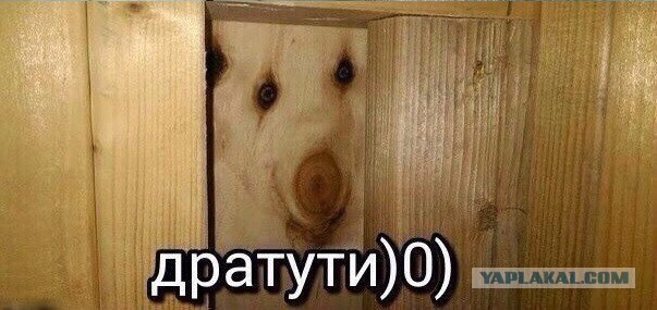 Соцсети - и смех и грех