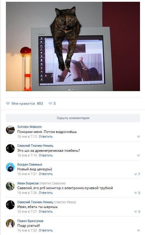 Ужасы и приколы из соцсетей 18+