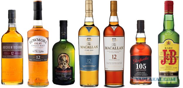 На озере Лох-Несс опять заметили монстра