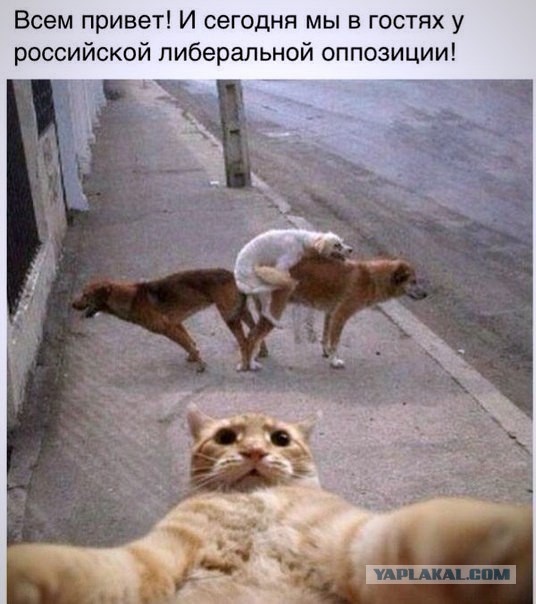 Полицейский задержал женщину с ребёнком (Новокузнецк)