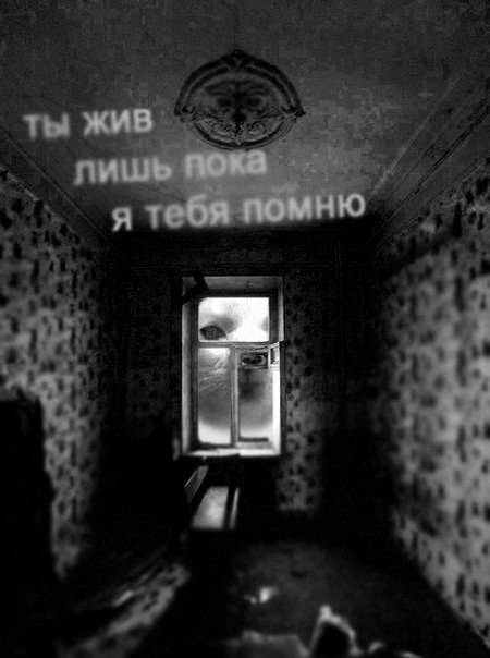 Уныние и Тлен