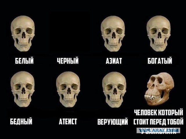Журнал деградант