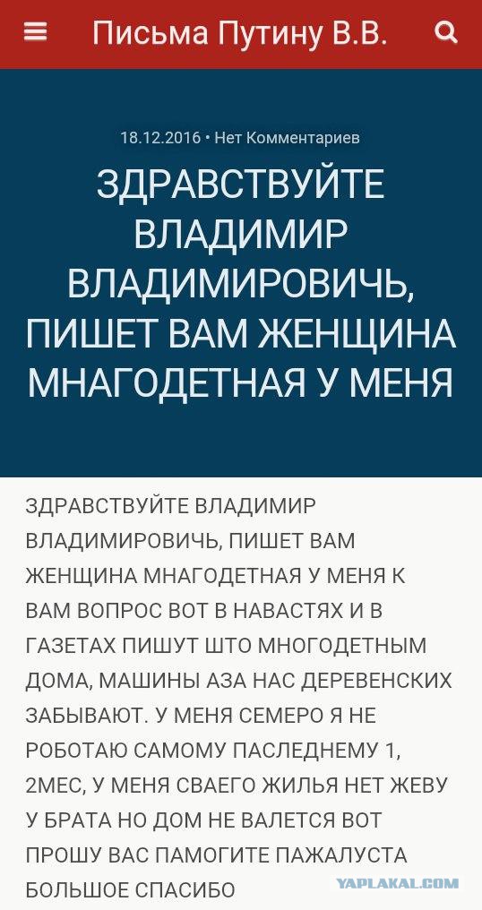 Яжематери осваивают собирательство