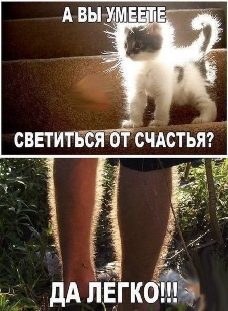 Нестандартный юмор