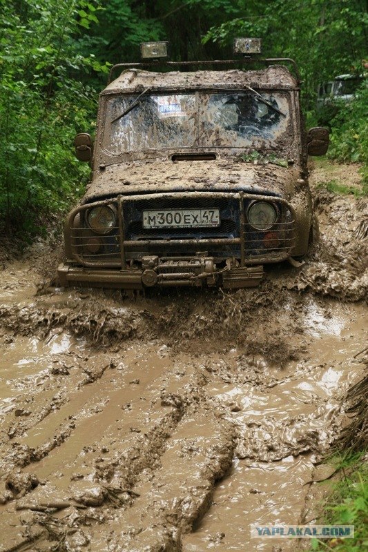 Проходимцы Веппского леса
