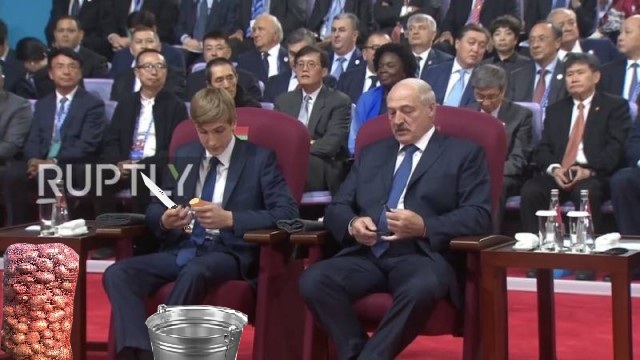 Николай Лукашенко на саммите ШОС сел в один ряд с главами государств