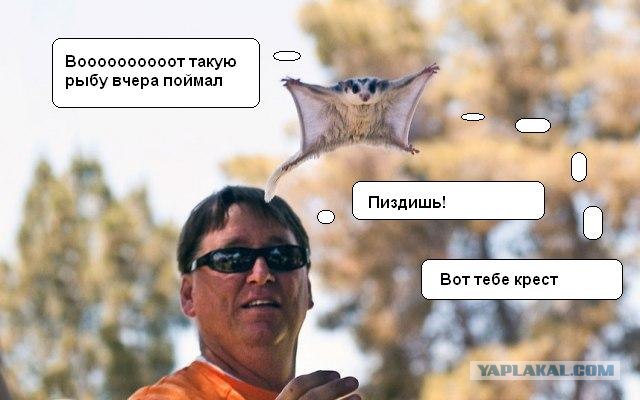 Новорожденные ягуарята