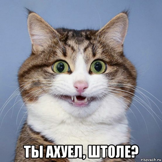 Шаурма - давай до свиданья ?