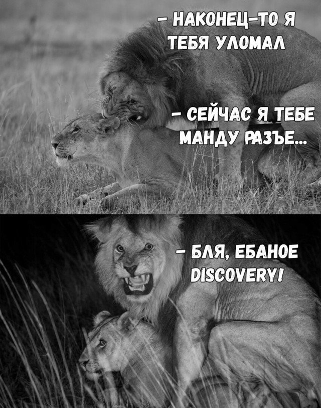 Стремительно наступает воскресная темнота...