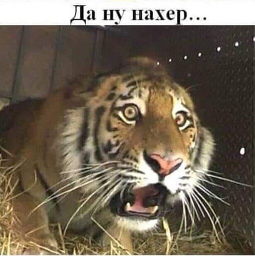 Кремль оценил новую методику опроса ВЦИОМ о доверии Путину