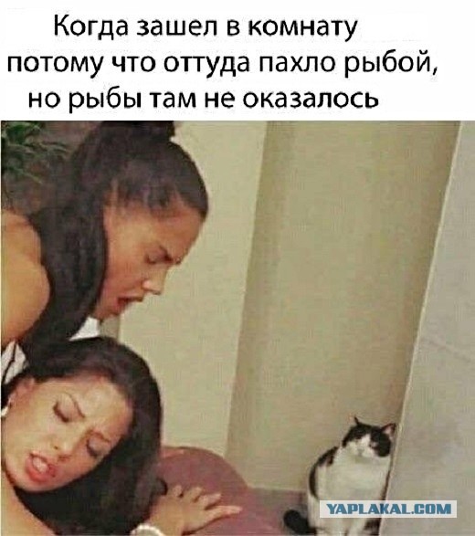 Как я стал свидетелем измены в купе поезда