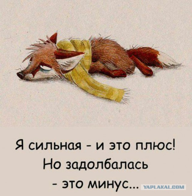 Разведенные женщины ищут мужчин!