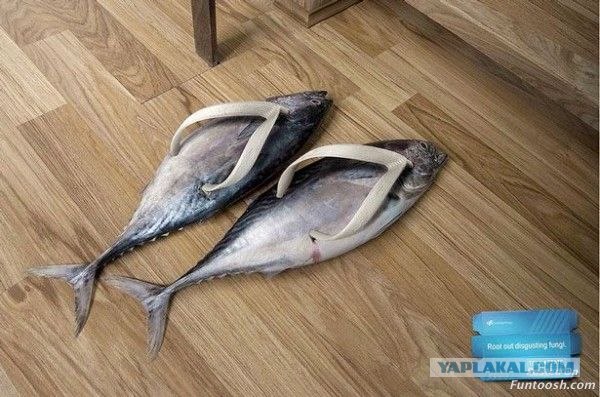 Классная реклама