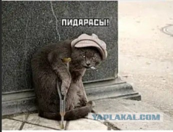 Женские манипуляции, которые нужно сразу же пресекать