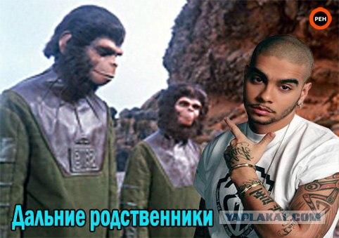 Фотожаба: ТВ программа