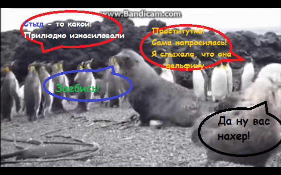 Эти забавные животные