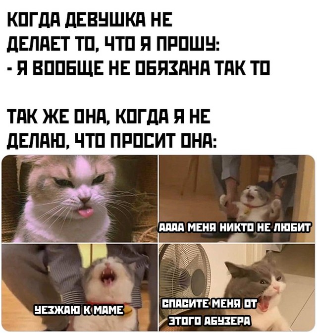 Баянисто-небаянистый юмор 15.02.21